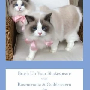 Brush Up Your Shakespeare with Rosencrantz & Guildenstern