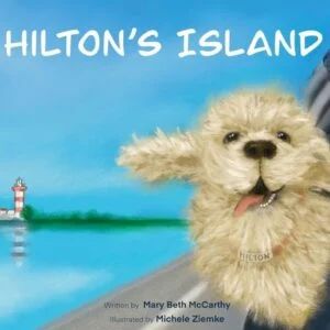 Hilton's Island